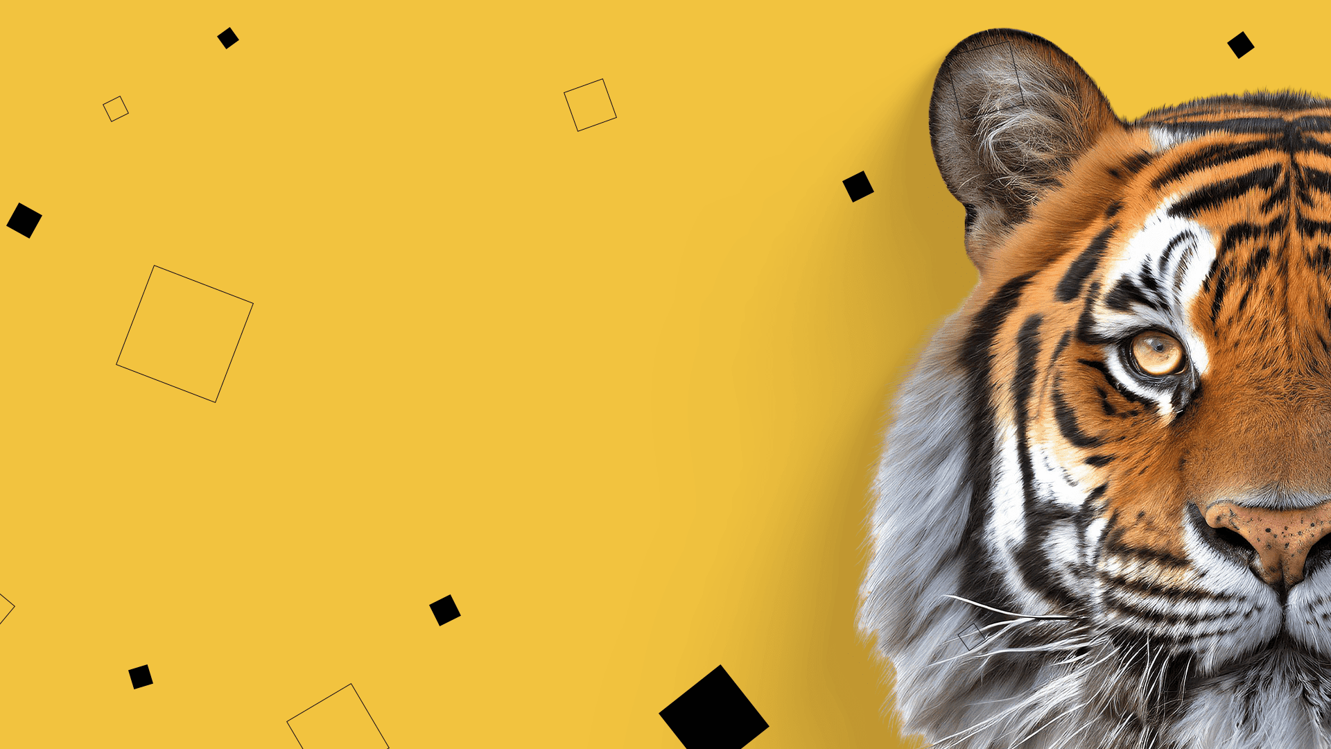 AVANTEC AG header image